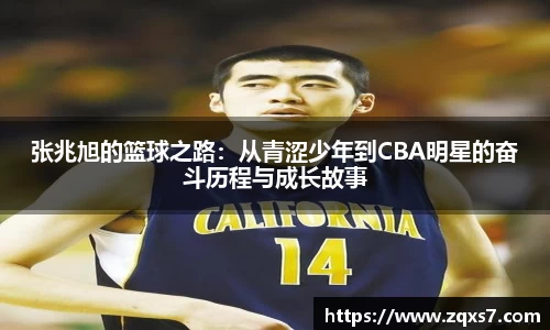 mk体育手机网页版登录