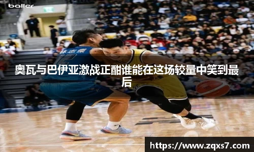 mk体育官网入口